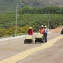 명기농장 이미지