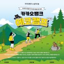 치로리