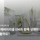 로하스에버 이미지