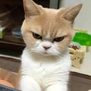 (주)데이트 이미지