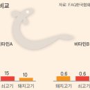 강화민물장어 이미지