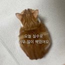 1월