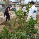 점동중학교 이미지