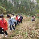 서남초등학교 이미지