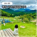 오대산힐링빌리지 이미지