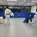 브로스유도관강남대점