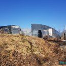 표씨농장 이미지