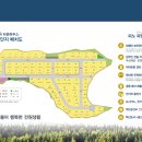 피노파밀리아 네이버블로그