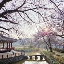 현대보석사우나 | 꽃샘추위에 당진차박지의 구세주! 당진 면천에서 보석 같은 목욕탕을 발견하다