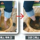 편백숲족욕# 네이버블로그