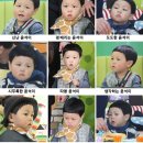 애니멀즈 이미지