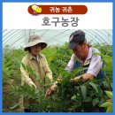 호구농장 이미지