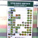 태경딸기농원 네이버블로그
