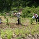 효원농장 이미지