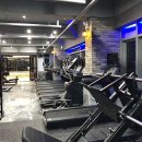 피트니스 화도 이미지