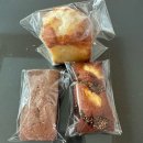 단트(DANT)