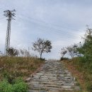 안성천 연결도로 이미지