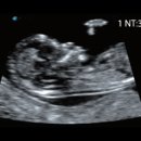 군산24시 제일동물병원 이미지