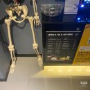 세븐스타코인노래연습장부천조마루점 이미지