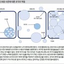 구성원 존중이 집단지성 꽃 피운다 이미지