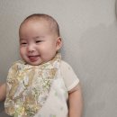 31 | 🧺아기 빕ㅣ얼쓰빕•헤이덕•씨스프레이•슈드비베러•어텀31 :: 비교 및 후기