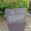 연화공원 영화의전당 네이버블로그