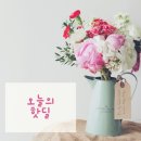 정관장 이마트통영점 | 오늘의 핫딜 (3.11)