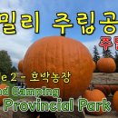 에밀리 주립공원 2박 3일 주말 캠핑 호박 농장 Emily Provincial Park, Ontario 이미지
