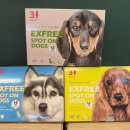 레오심야약국 이미지