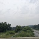 [국도21] 음성군 내송리