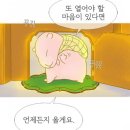 소심이네뜨개방 | 웹툰 드라마 명장면 모음 (스포주의)