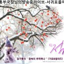 CJ절구통부국장님의방송중라이브-서귀포를아시나요 이미지