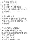 흔들리며 피는 꽃-중- 이미지