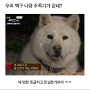 한밭상사 | [대전 수통골 맛집 ] 편백찜에서 샤브샤브까지! 편백숲샤브길 맛의 축복이 끝이 없네 | 대전 수통골...