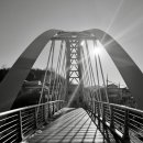 공존(共存) 이미지