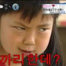 소망1농장 이미지