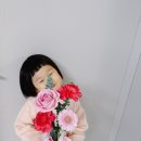 꽃할땐언제든 이미지