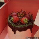 인하대역 쿠키몽과자점 l 인천 디저트맛집 수건케이크 파는 곳