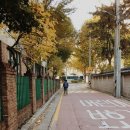 안국 이미지