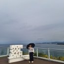 논골담길1 | 9월 묵호 1박2일 후기 / 묵호 뚜벅이 / 논골담길 / 도째비골 스카이밸리 / 도째비골 해랑전망대