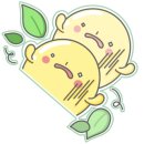 보니타정원 이미지