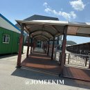 펫클라우드 | 완도 제주도 배편 애견동반 한일고속페리 실버클라우드 펫룸 후기