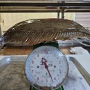 23호털보네횟집 이미지