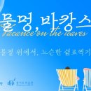 물멍 이미지