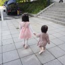 지온숲 이미지