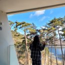 Lisof(리소프) 이미지