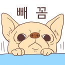 호스브라운 - 수성구 달구벌대로625길 9 | 호스브라운