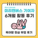 [디지털]미리캔버스 오전반 | 육아맘의 미리캔버스 기여자 6개월 솔직 후기: 현실적인 그림 수익 파이프라인 만들기