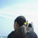 제10회 무용축제 이미지