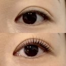 명륜동-8 | 명륜 속눈썹 동래 속눈썹 온천장 속눈썹펌 명륜동 하너스뷰티 케라틴 속눈썹펌 후기